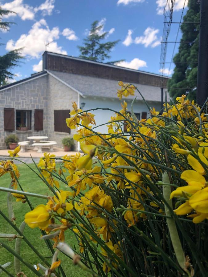 Villa Aurelia - Casa De Campo Con Jardin Y Piscina Entre Madrid Y Segovia Ortigosa del Monte Buitenkant foto
